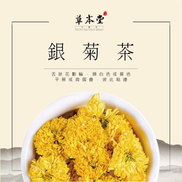 銀菊茶 10入/組