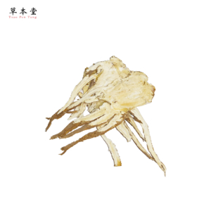 歸尾片｜1斤｜600g